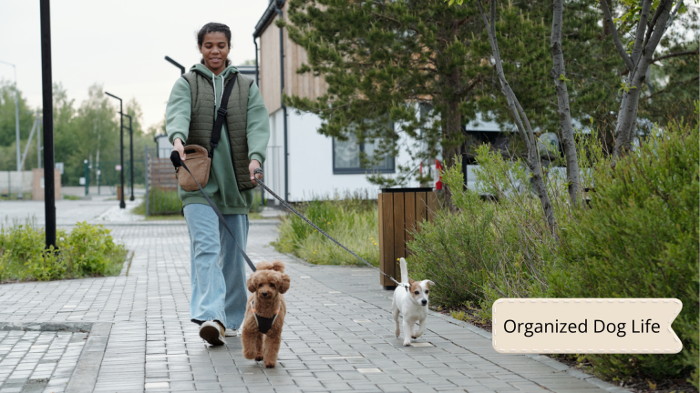 Dog Sitter Instructions