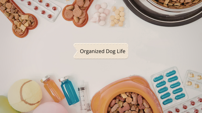 Dog Supplies Checklist