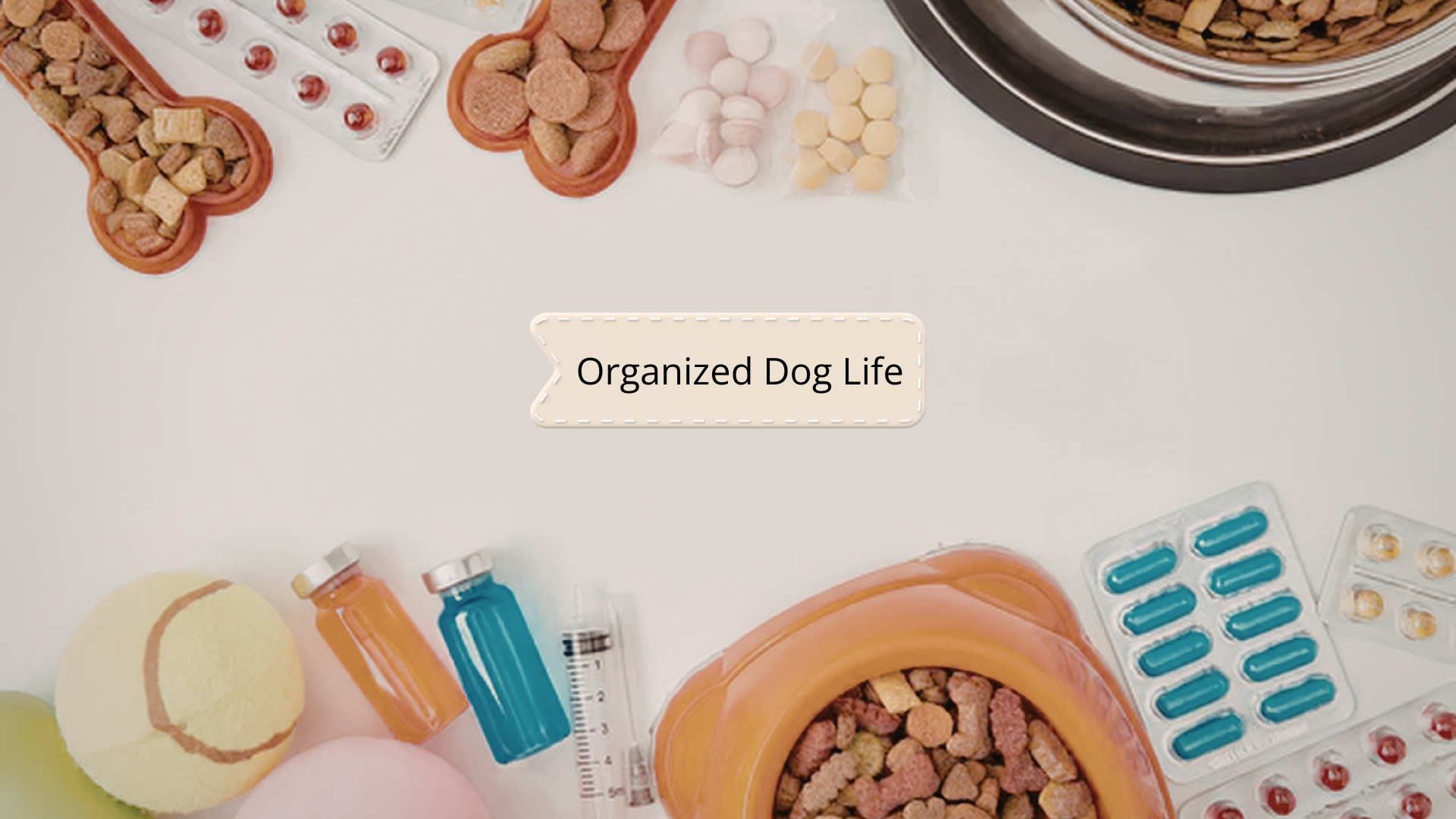 Dog Supplies Checklist