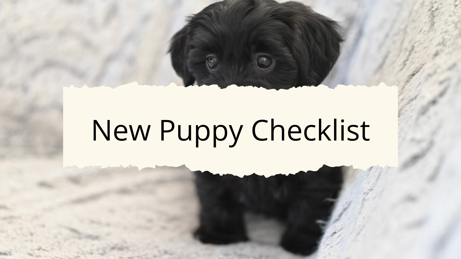 New Puppy Checklist