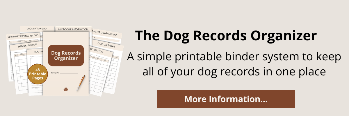 Becoming Her: 30-Day Midlife Identity Shift Journal