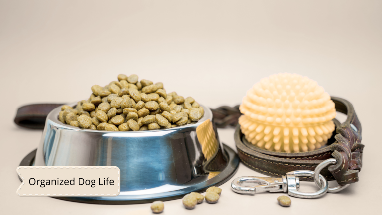 Dog Supplies Organization